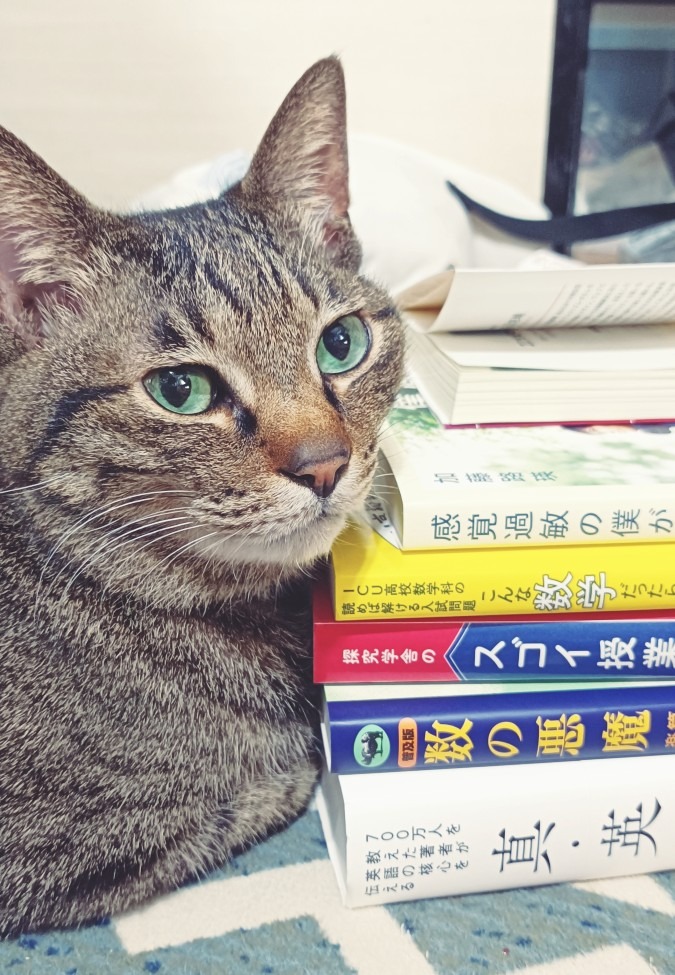 猫の耳にも数学